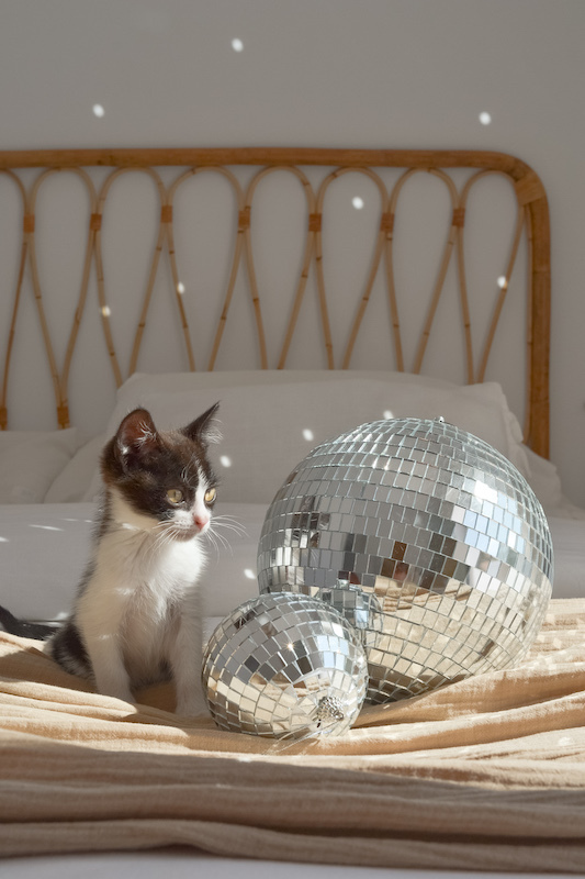 boules-a-facettes-deco