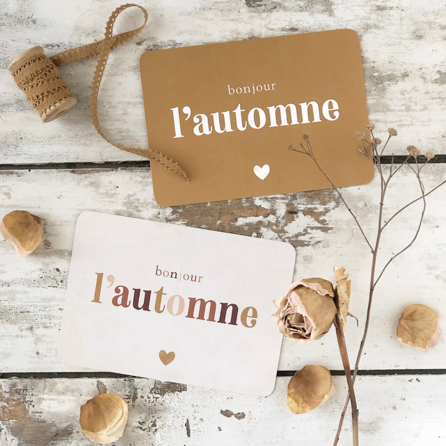 Carte Postale Bonjour L Automne Cinq Mai 2 Coloris Disponibles Le Joli Shop Carte Postale Bonjour L Automne Cinq Mai 2 Coloris Disponibles Le Joli Shop