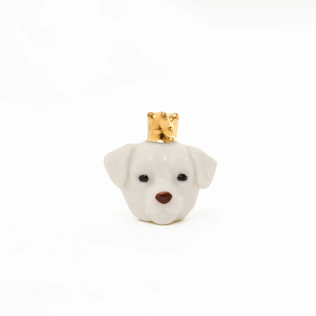 chien-golden-retriever-feve