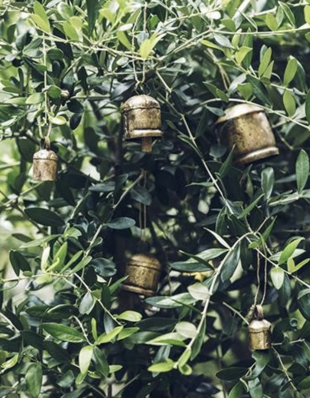 cloche-3