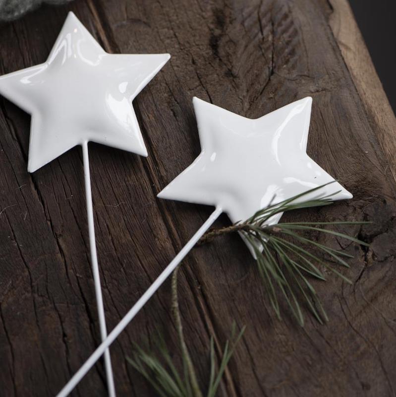 etoile-metal-blanche-pic