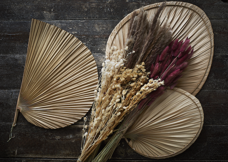 eventail-feuille-de-palmier