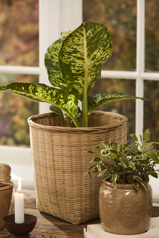 panier-bambou-deco