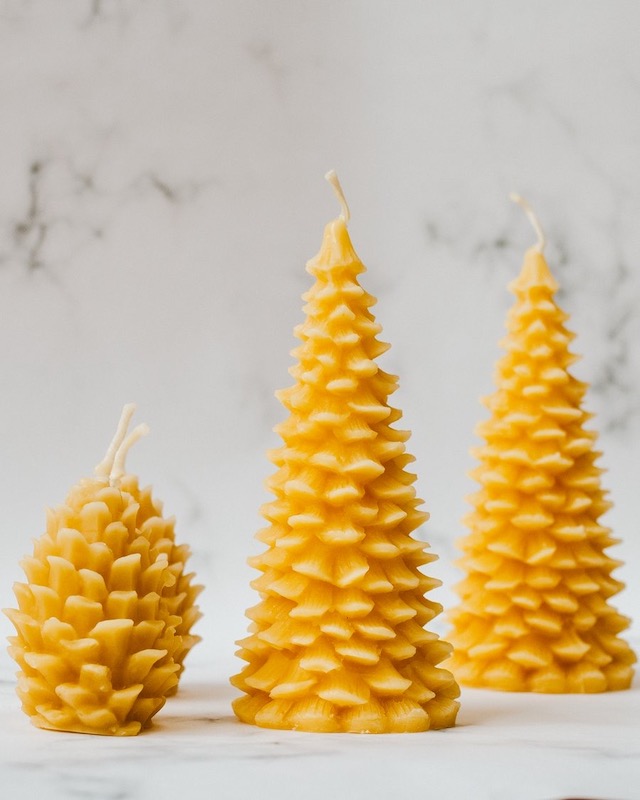 sapin-pomme-de-pin-goldrick-bougie