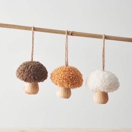 champignon-laine