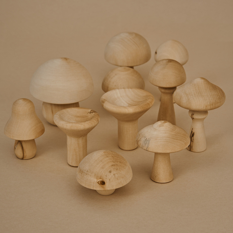 champignons-en-bois-raduga-grez