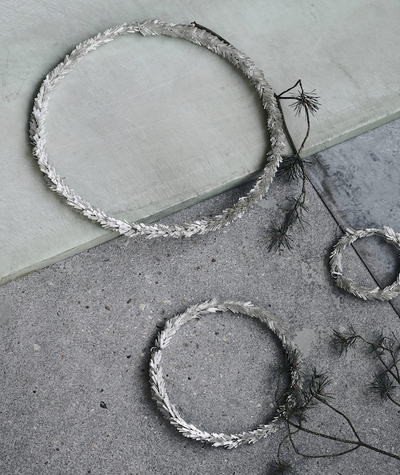 couronne-argent-house-doctor