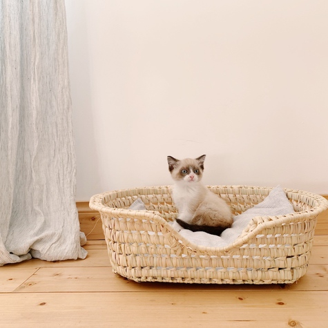 panier-pour-chat-et-chien