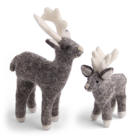 renne-et-son-petit-gris