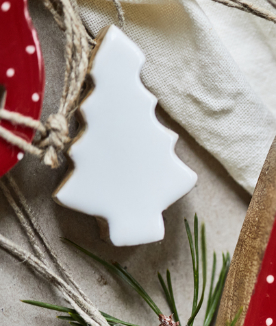 sapin-bois-blanc